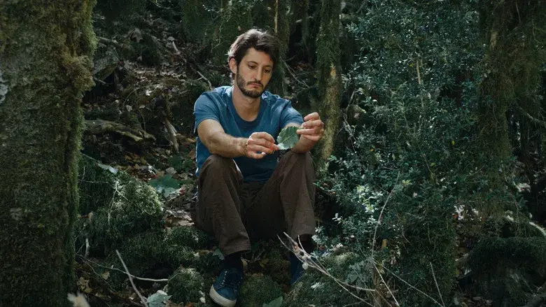 El libro de las soluciones - Fondo