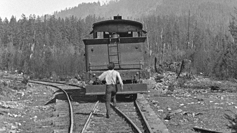 El maquinista de La General - Fondo