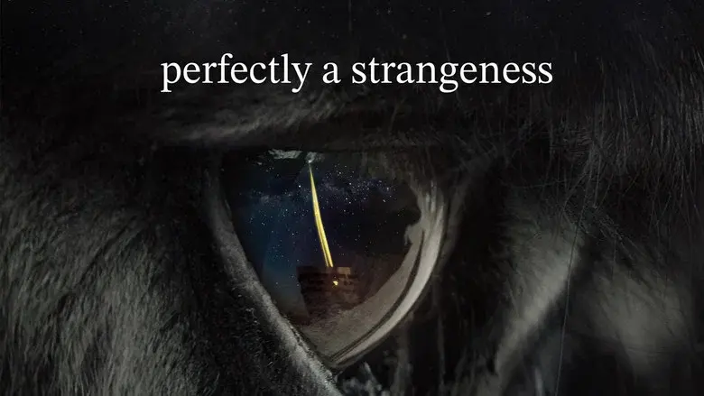 Perfectly a strangeness - Fondo