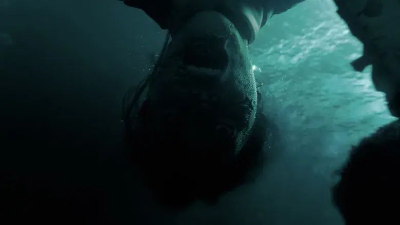 SEND HELP (Enviad ayuda) - Fondo