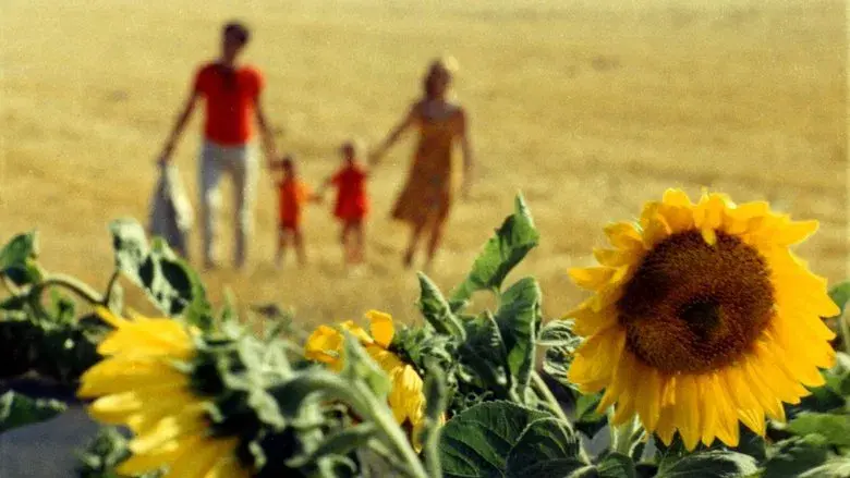 La felicidad - Fondo