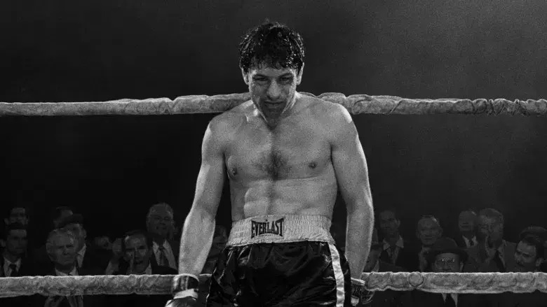 Toro salvaje - Fondo