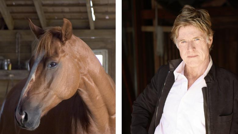 La telaraña de Carlota - Fondo