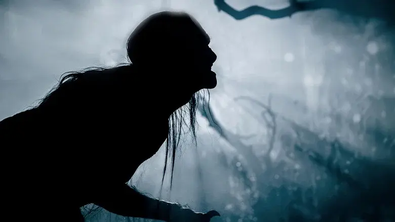 Howl (Aullido) - Fondo