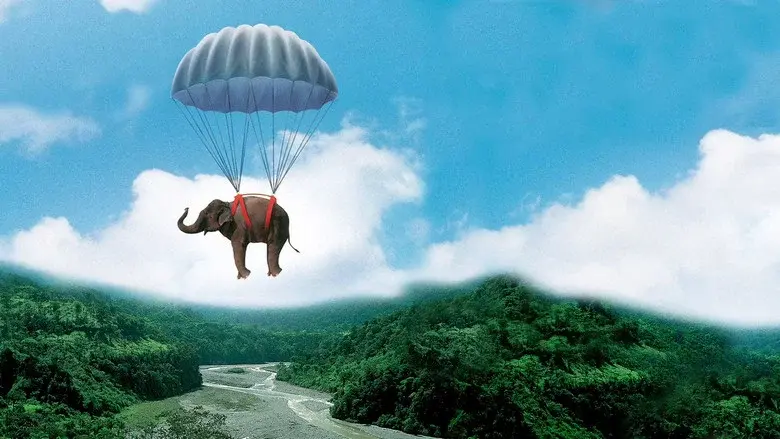 Operación Elefante - Fondo