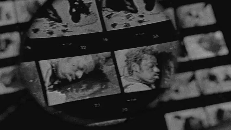 Ciudad de Dios - Fondo