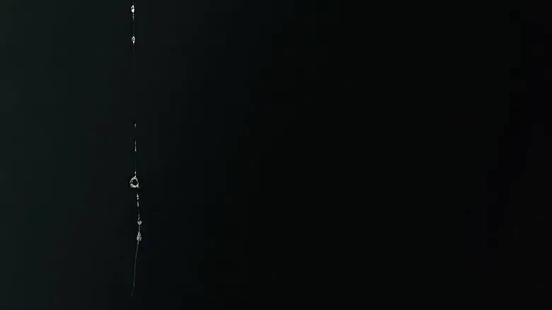 Alien: Romulus - Fondo