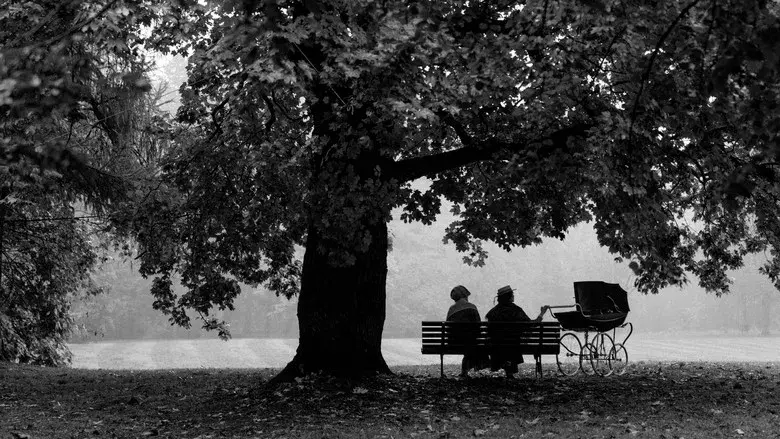 La chica de la aguja - Fondo