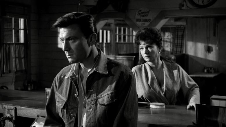 La gata negra - Fondo