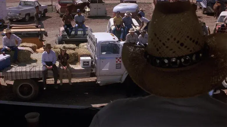 El romance de Murphy - Fondo