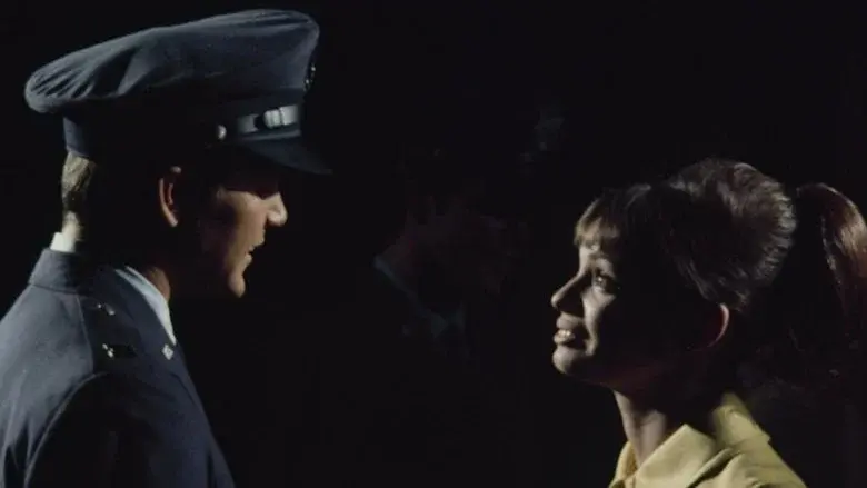 Gidget Grows Up - Fondo