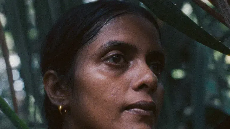 La luz que imaginamos - Fondo