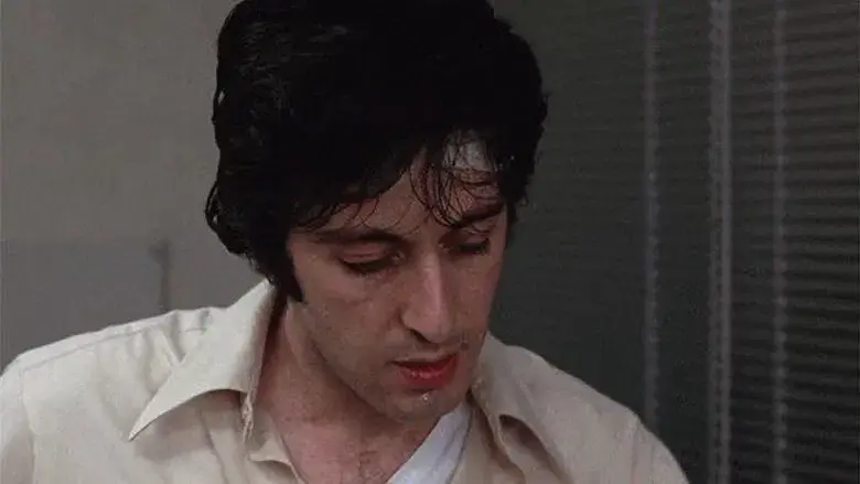 Tarde de perros - Fondo