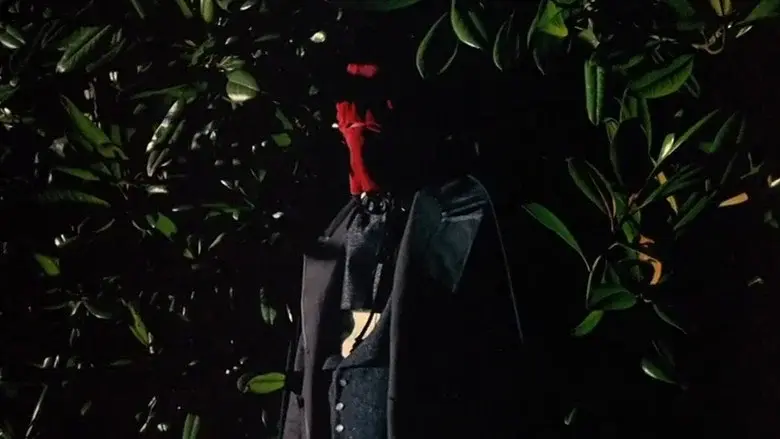 El ataúd (La caja oblonga) - Fondo