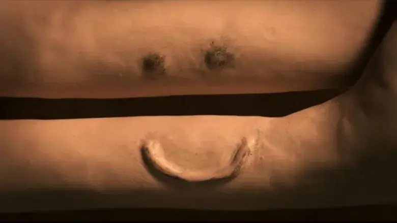 Memorias de un caracol - Fondo