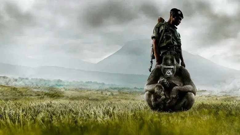 Virunga - Fondo