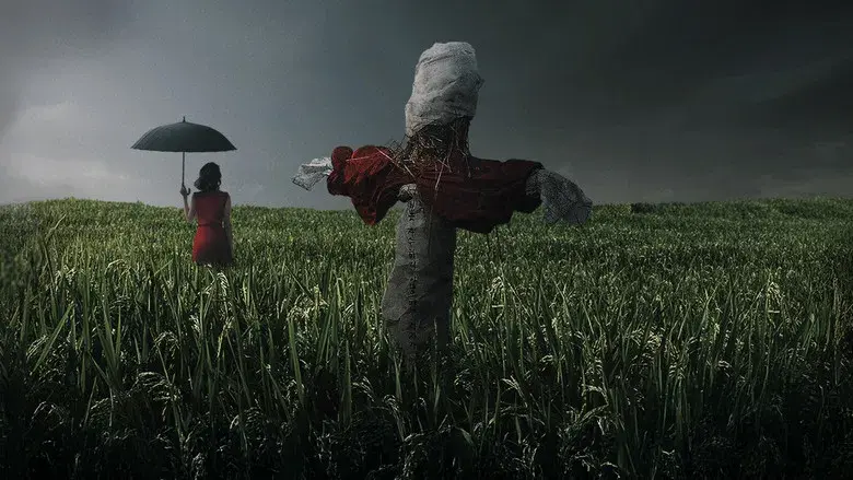 Memories of Murder (Crónica de un asesino en serie) - Fondo