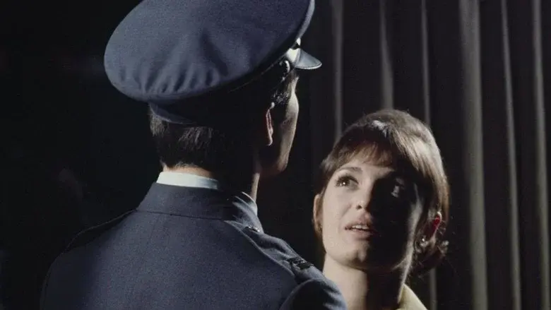 Gidget Grows Up - Fondo