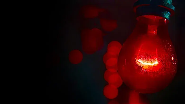 Un lugar tranquilo - Fondo