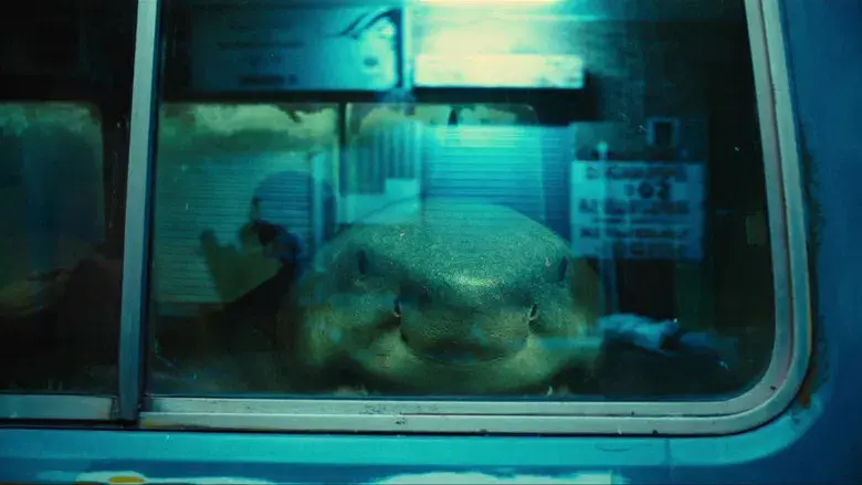 El escuadrón suicida - Fondo