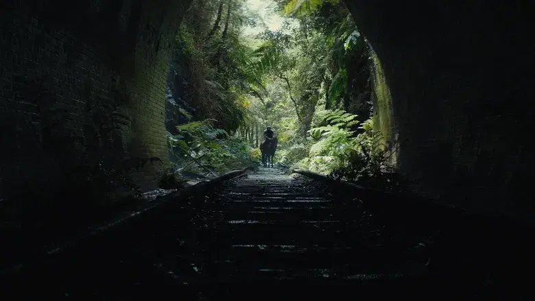 El reino del planeta de los simios - Fondo