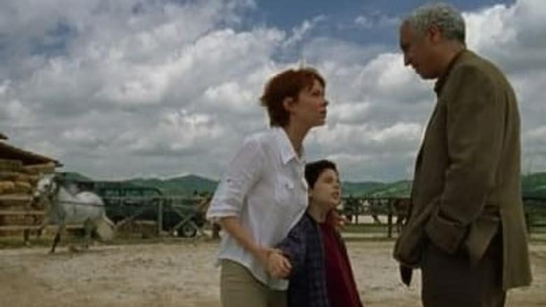 Nunca es tarde para el amor