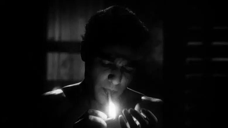 Who Killed Teddy Bear? - Fondo