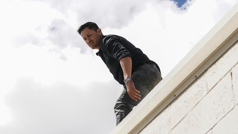 Un leopardo al acecho