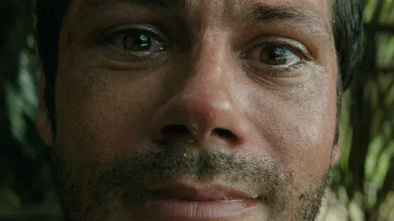 SEND HELP (Enviad ayuda) - Fondo