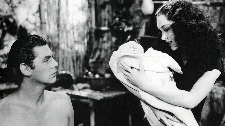 Tarzán en Nueva York - Fondo