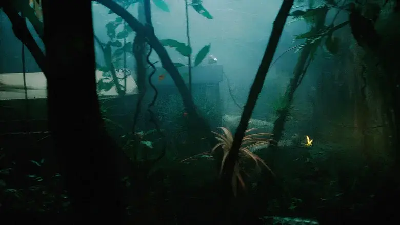 Carga maldita - Fondo