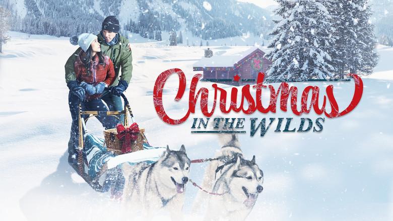 Christmas in the Wilds - Fondo