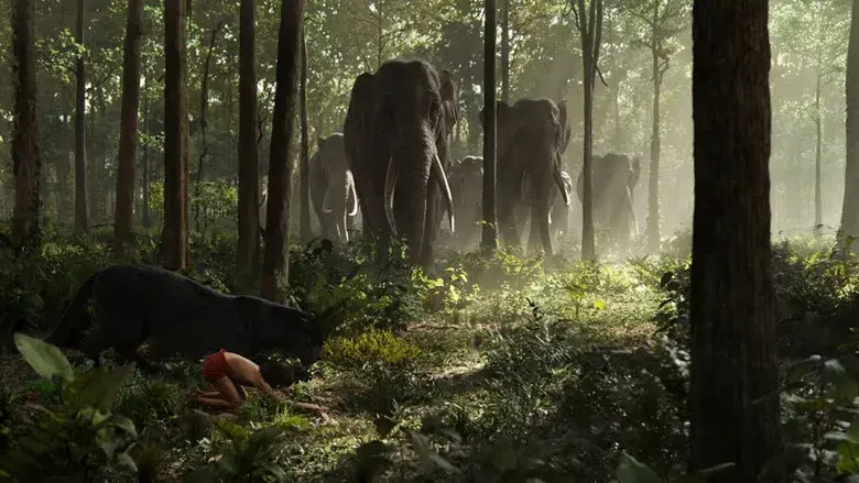 El libro de la selva - Fondo