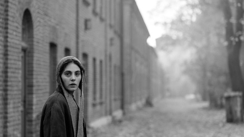 La chica de la aguja - Fondo