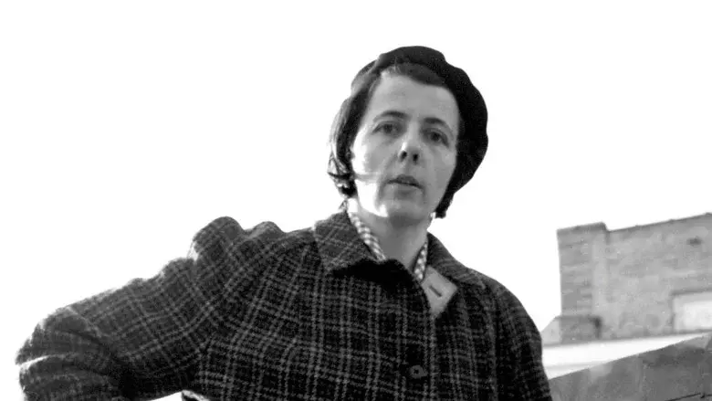 Buscando a Vivian Maier - Fondo