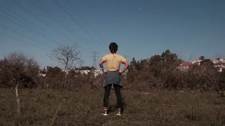 ¡Apocalipsis a la Zombie! - Fondo