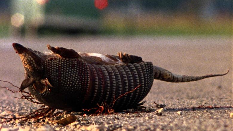 La matanza de Texas - Fondo