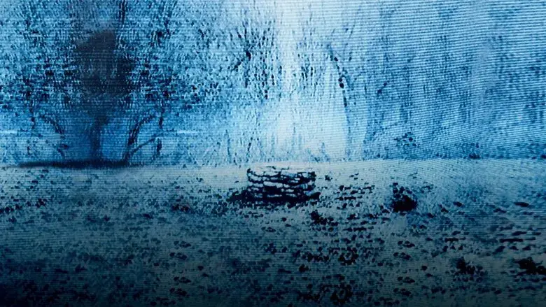 The Ring (La señal) - Fondo