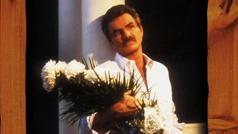 Evening Shade - Fondo