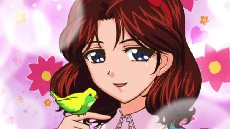 División de caricatura es Teni Puri