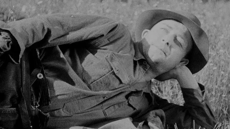 Viva la libertad - Fondo