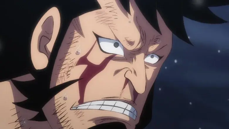 ¡No lo perdonaré! ¡La determinación de Chopper!