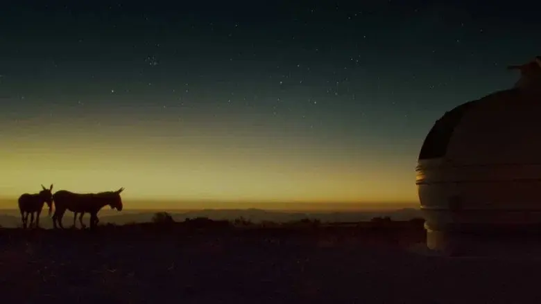 Perfectly a strangeness - Fondo