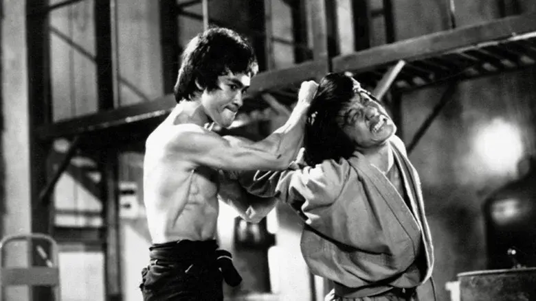 Jackie Chan - Humour, gloire et kung-fu - Fondo