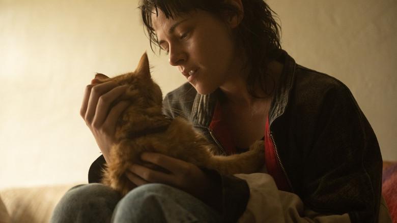 Sangre en los labios - Fondo