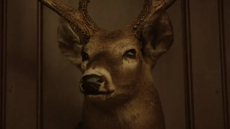 Déjame salir - Fondo