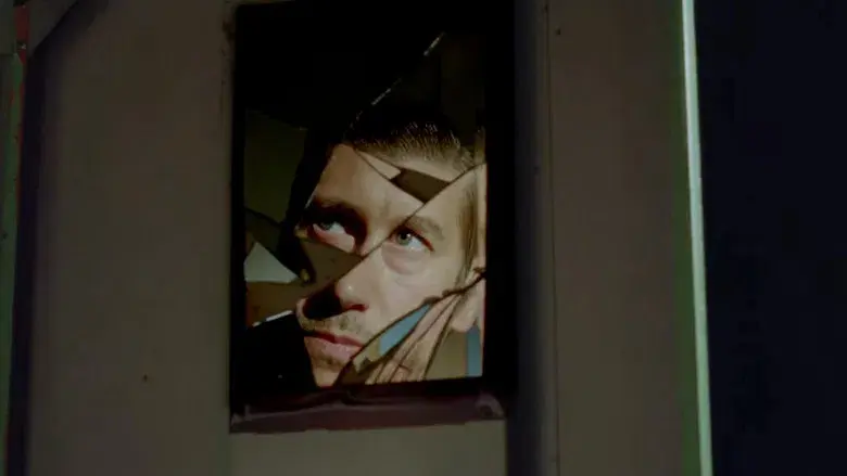 Fallen Leaves - Fondo