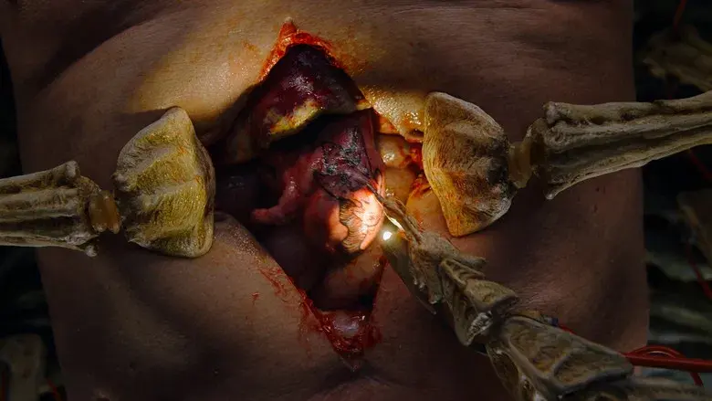 Crímenes del futuro - Fondo