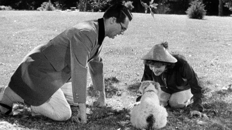 La fiera de mi niña - Fondo