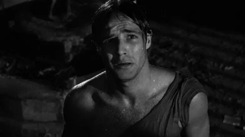 Un tranvía llamado deseo - Fondo